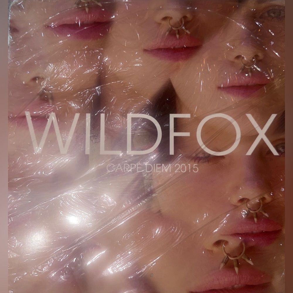 New Wildfox Couture Collector’s Item 2015 Carpe Diem Wall Calendar
